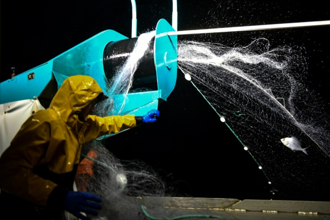 Les bateaux de plus de huit mètres ont repris la mer dans la nuit de jeudi à vendredi dans le golfe de Gascogne, après quatre semaines d'arrêt pour protéger les dauphins © Christophe ARCHAMBAULT