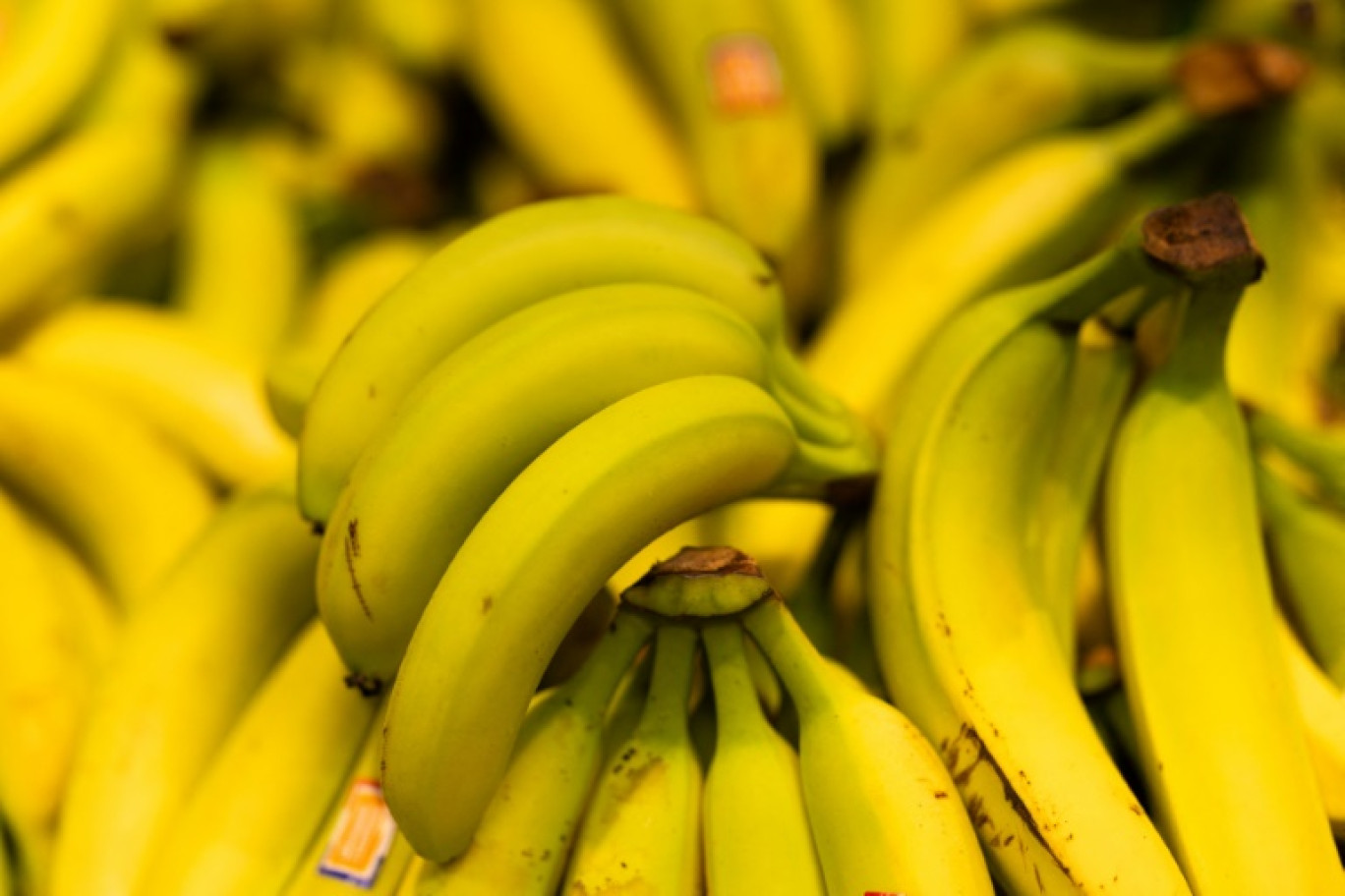 Les producteurs de bananes françaises s'alarment de la "crise existentielle" que traverse leur filière, confrontée à une chute de la production et à des normes jugées trop contraignantes © JOEL SAGET