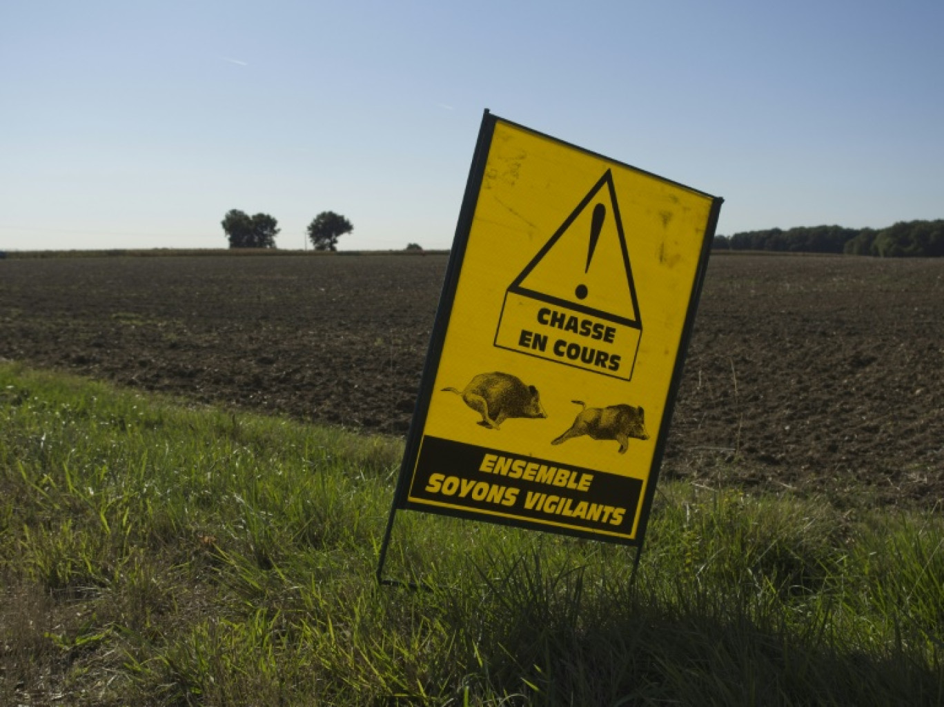 Six hommes ont été interpellés au terme de deux ans d'enquête pour "des faits de braconnage d'une particulière gravité" commis dans le Cher © GUILLAUME SOUVANT