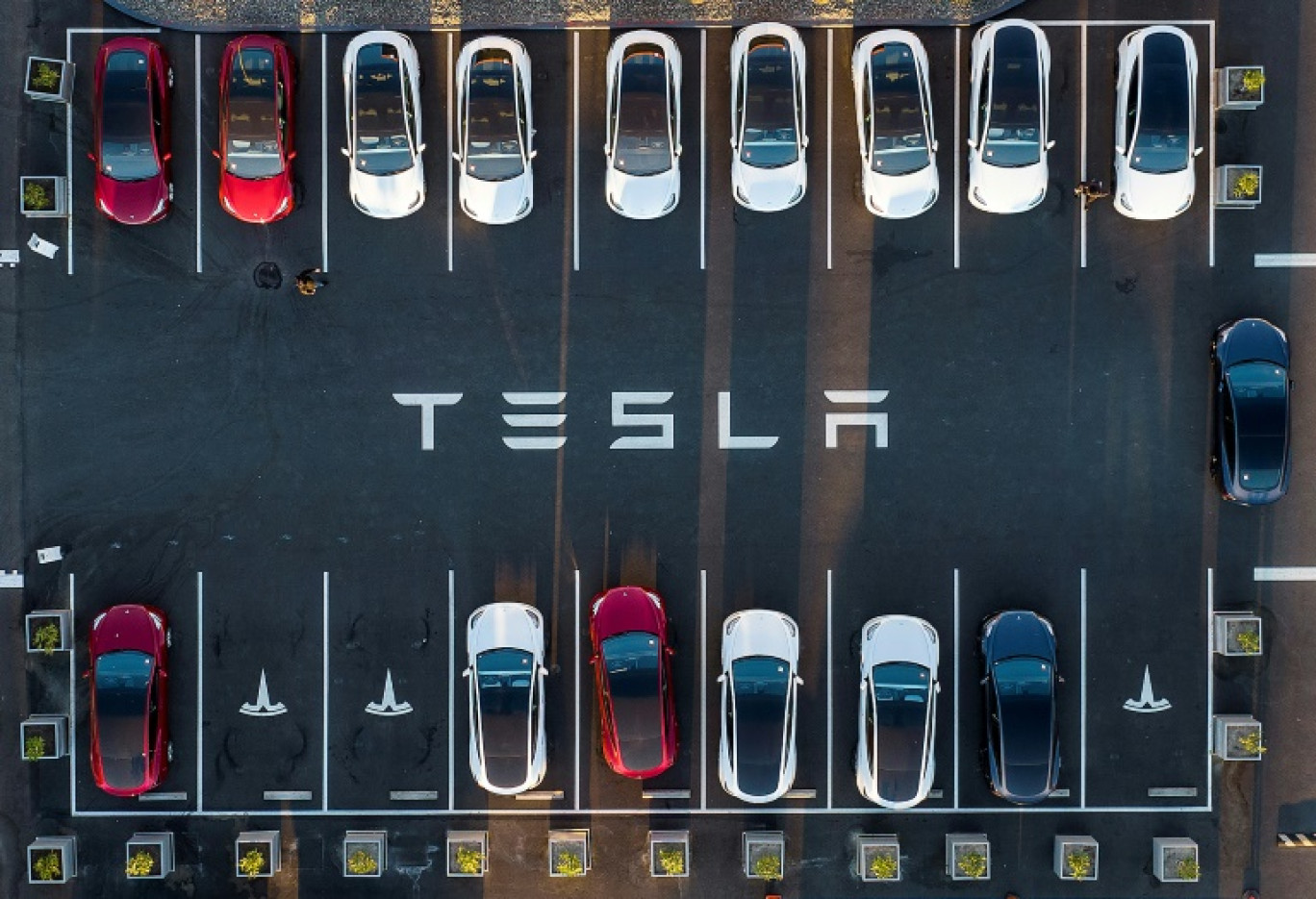 Les ventes de Tesla ont poursuivi leur baisse en France au mois de février, potentiellement freinées par le comportement de son patron Elon Musk mais aussi par la modernisation de sa gamme © JOSH EDELSON