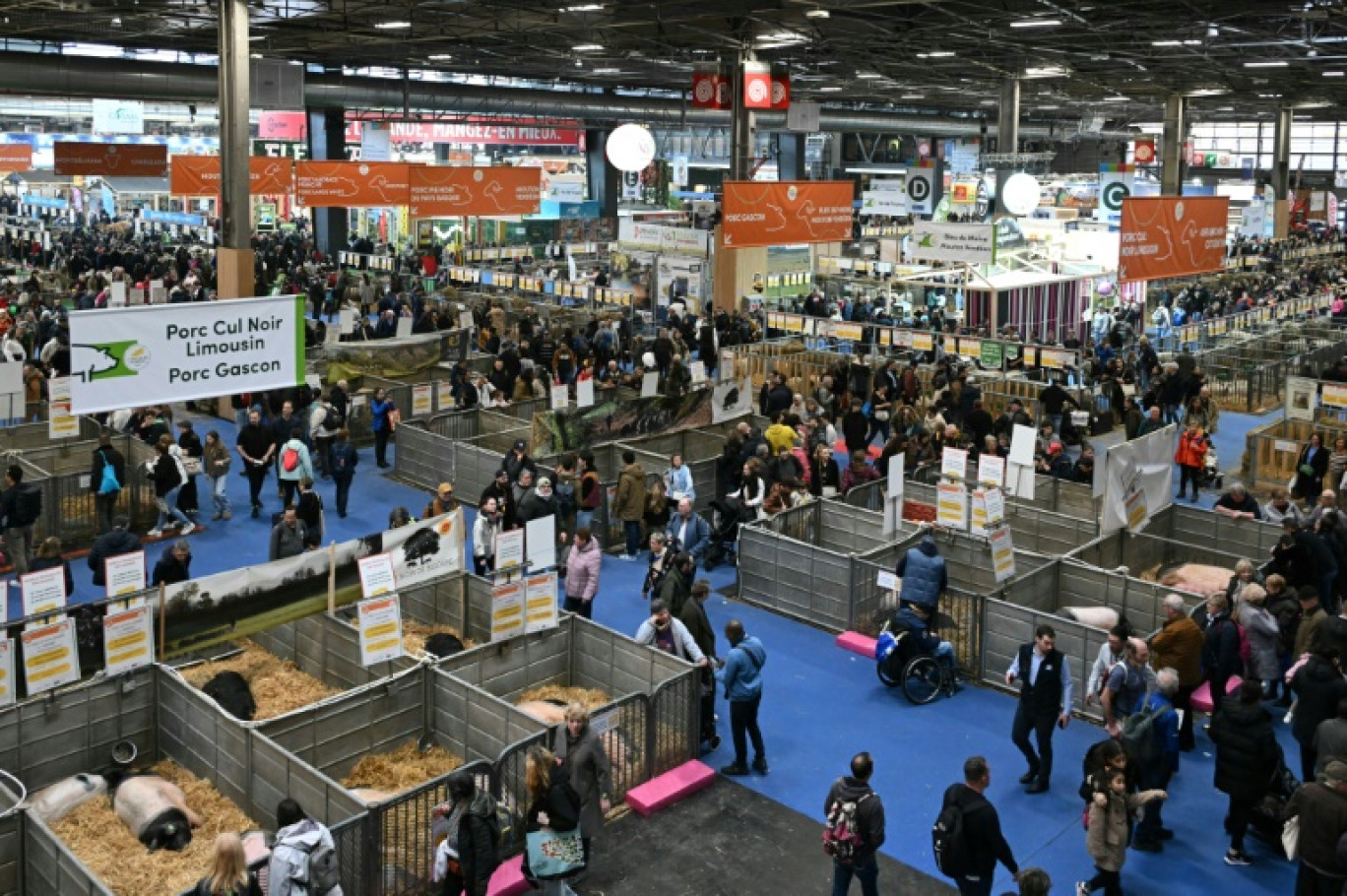 Des visiteurs au 61e Salon de l'Agriculture, Porte de Versailles, à Paris, le 27 février 2025 © Bertrand GUAY