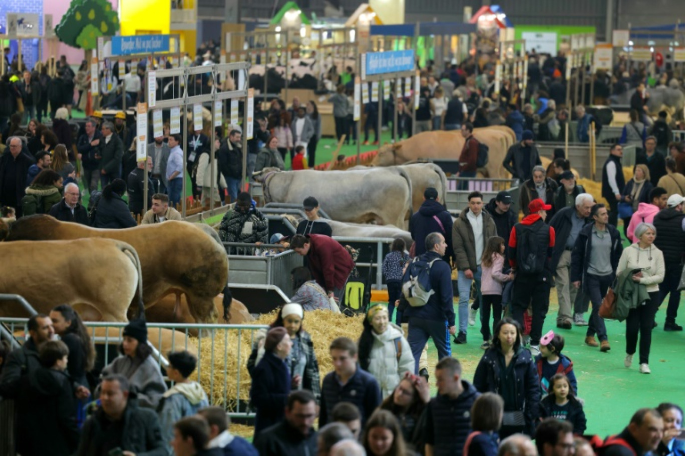 Au Salon de l'agriculture, à Paris, le 24 février 2025 © Thomas SAMSON