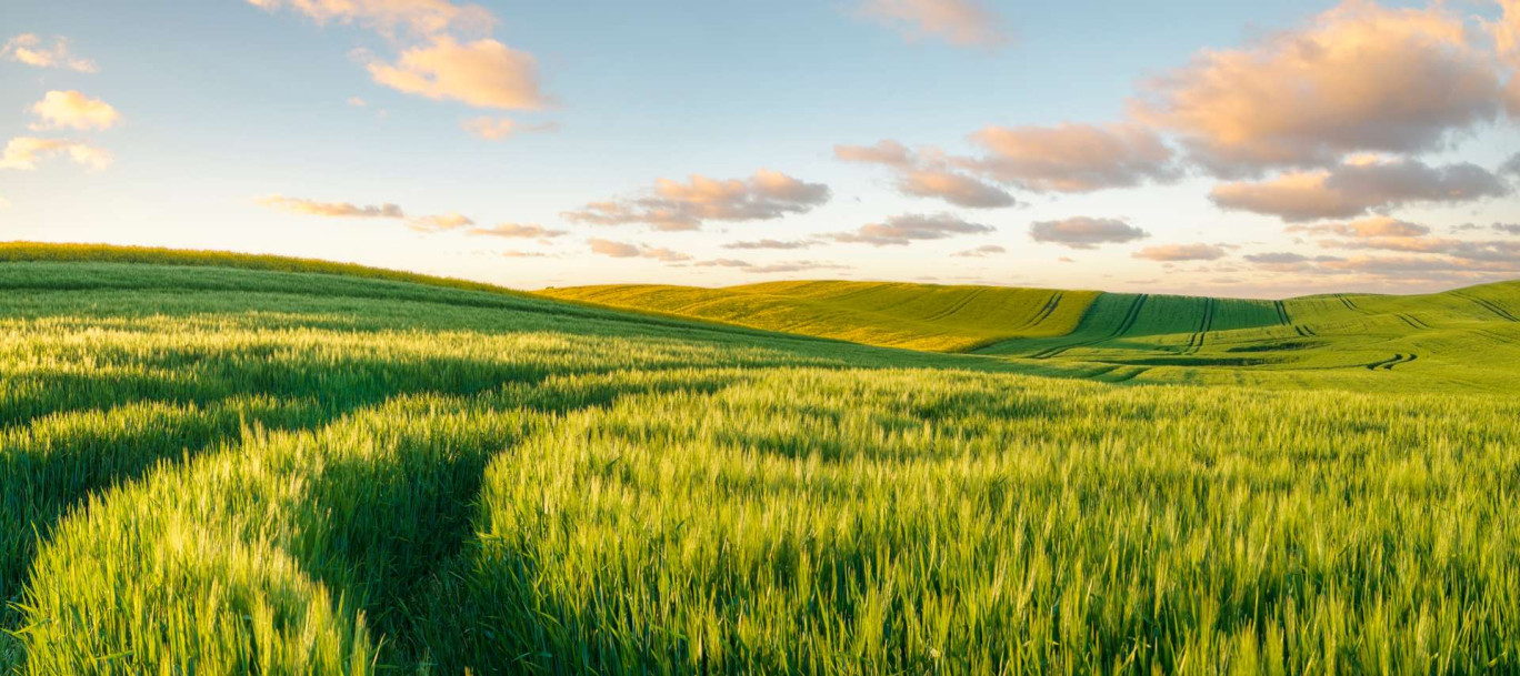 La part des sols agricoles sur le territoire français a baissé de plus de quatre points. © Mike Mareen