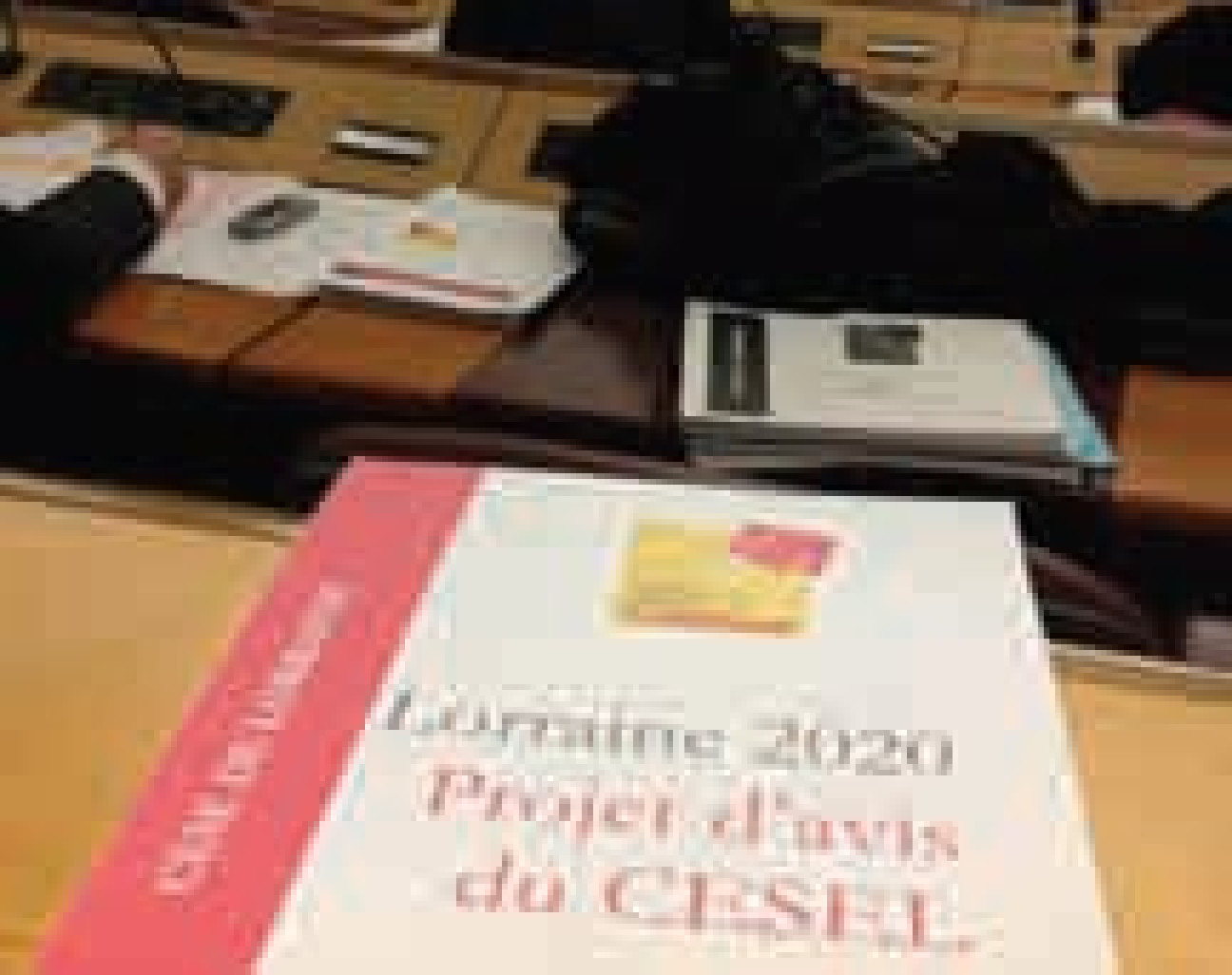 Le 8 novembre dernier, les membres du Cesel se sont, comme chaque année, prononcés à l’unanimité sur le rapport sur la Situation économique sociale et environnementale de la région (Siteco).