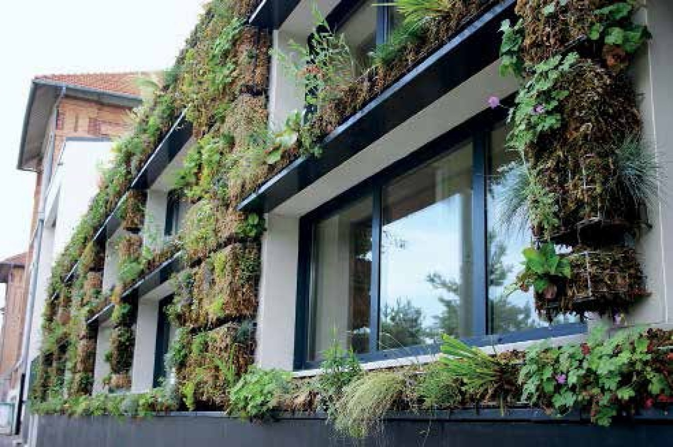 Ce mur végétalisé, le seul dans la ville picarde, apporte de la verdure au quartier.