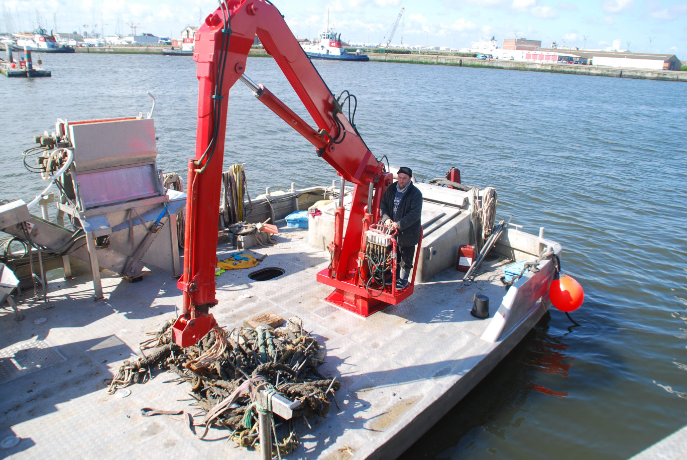 Les marins pêcheurs de la coopérative maritime de Dunkerque sont intéressés par cette moule des Bancs de Flandre.