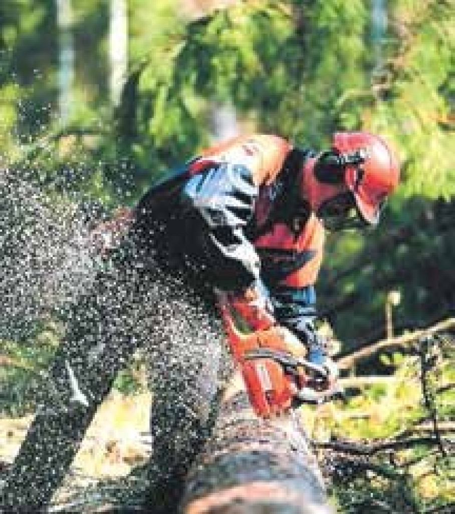 Nouvelle mission pour l’Office national des forêts ! Outre la gestion des forêts, l’ONF aura désormais pour vocation à favoriser le développement de la filière «bois» en Lorraine.