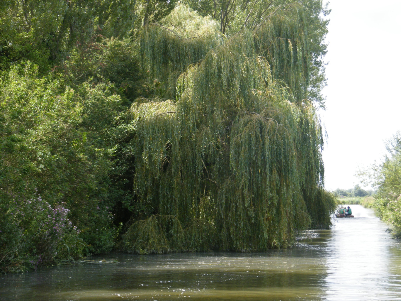 « L’eau, ressource précieuse de la région Nord-Pas-de-Calais ».