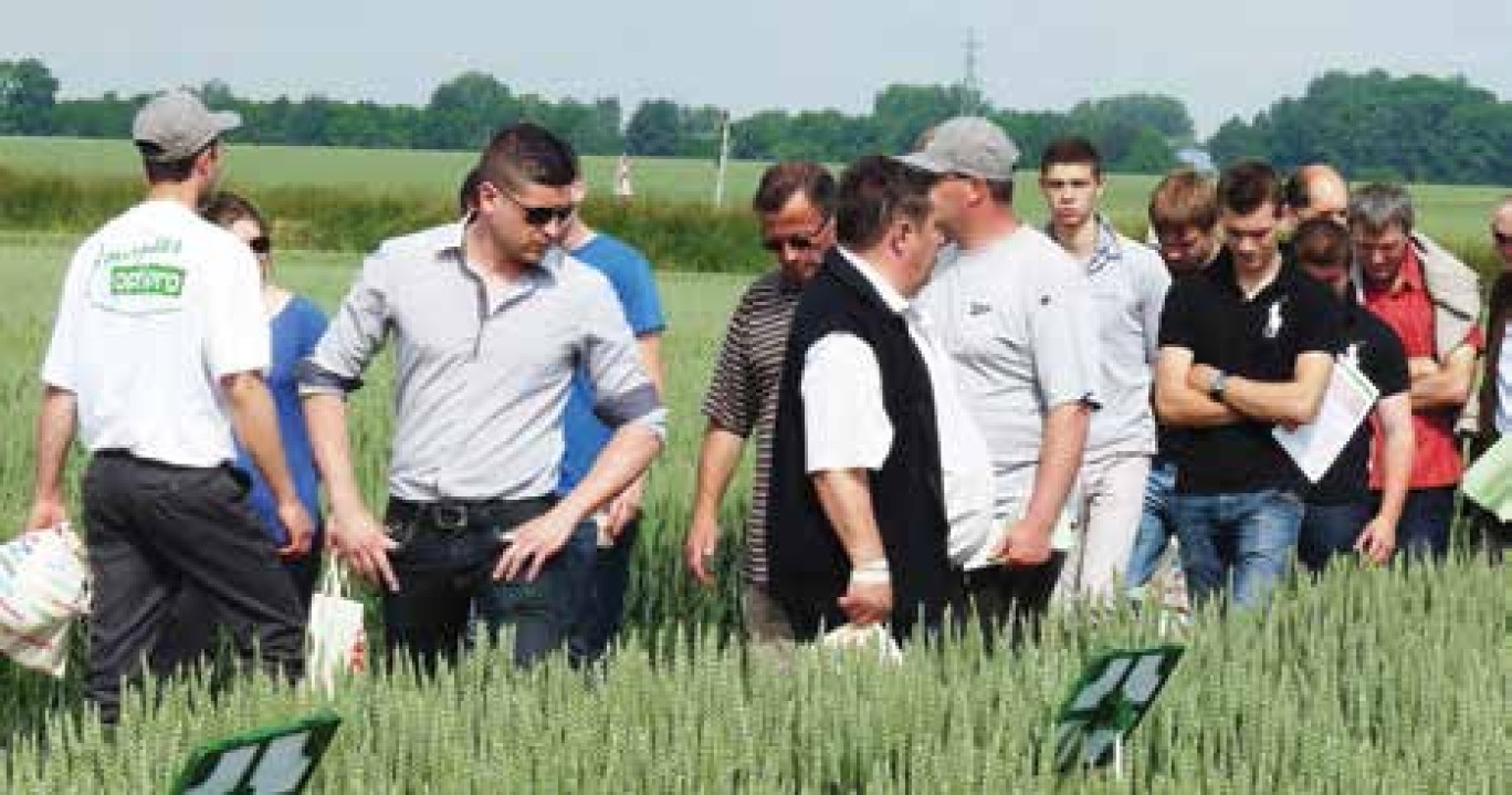 Les agriculteurs ont pu comparer les nouvelles variétés.