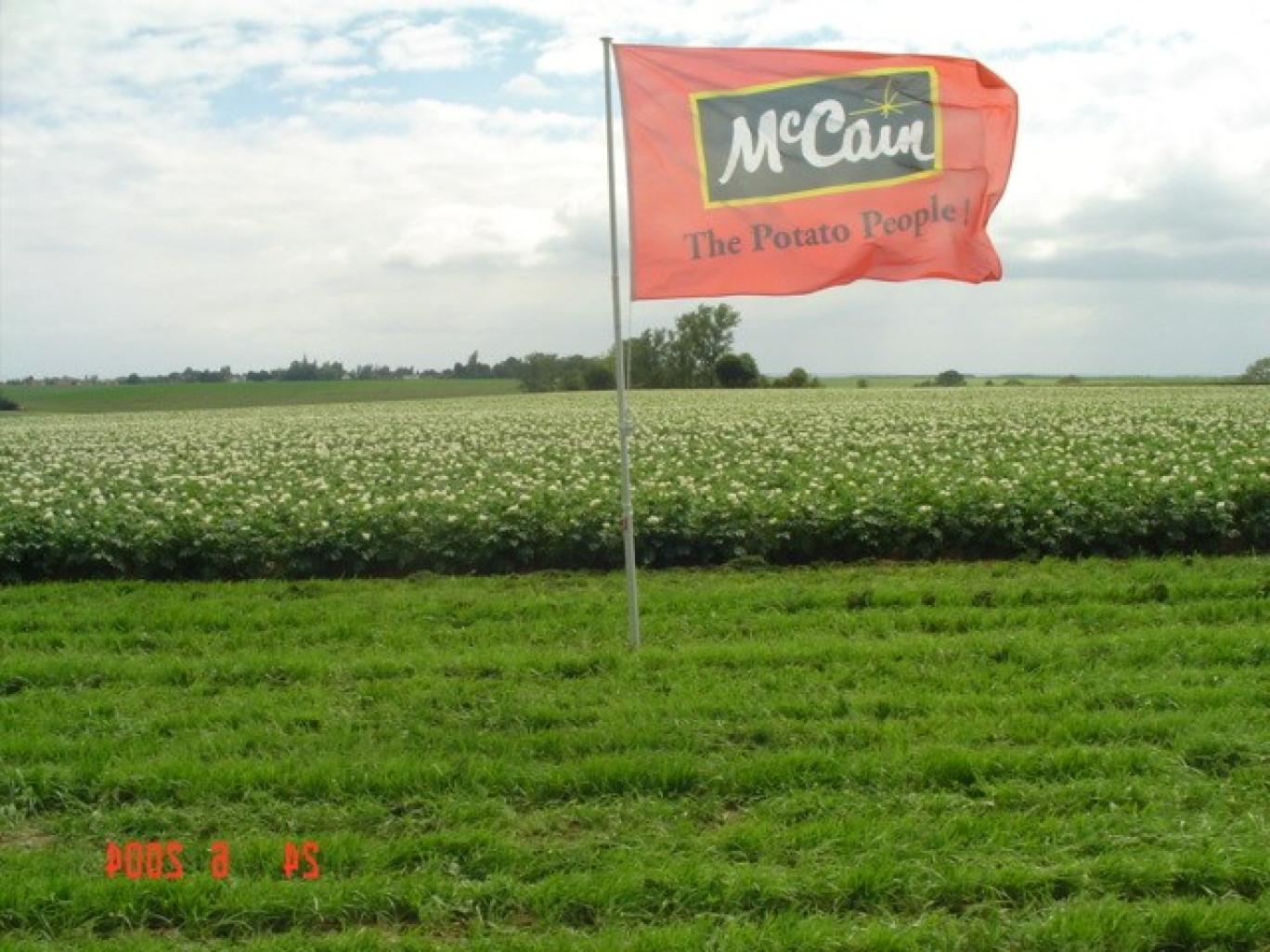 McCain a la frite pour le Nord-Pas-de-Calais