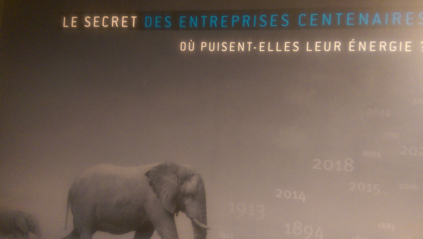 « Le secret de la réussite des entreprises centenaires ».