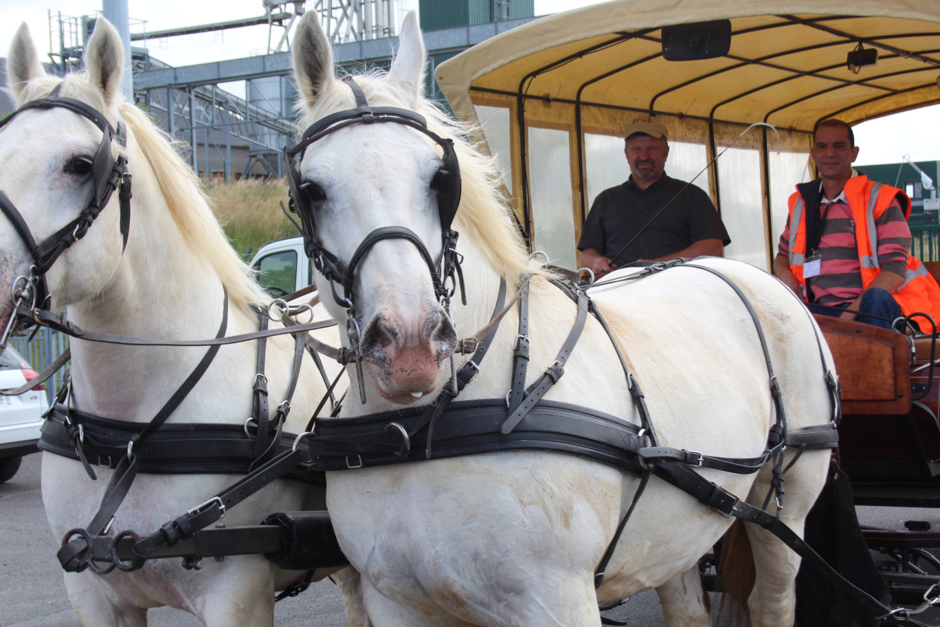 Une des originalités d'Astradec : la place des chevaux boulonnais (visites, collecte des ordures ménagères...) .