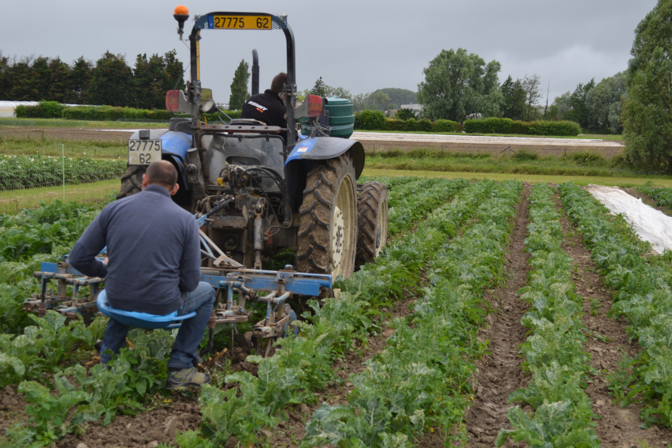 De nombreux leviers alternatifs sont également mis en place au sein de l’exploitation : non labour, multiplication des déchaumages/faux semis, bas volume, couverture des sols ou désherbage mécanique, etc.