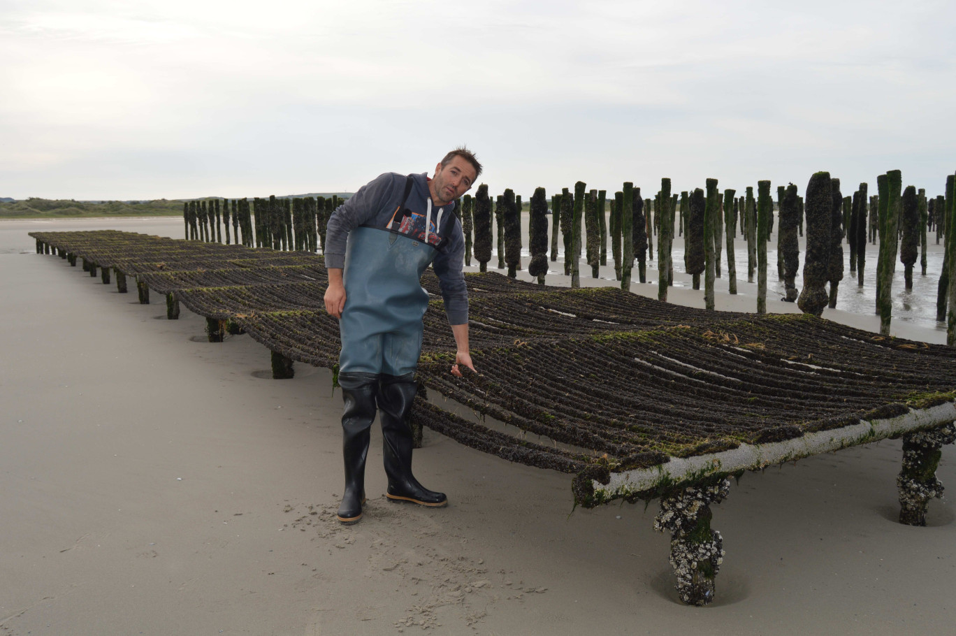 Le mytiliculteur Stéphane Dewitte – ici en train d’installer ses lignes de naissains achetés en Charente-Maritime - compte récolter plus de 140 tonnes de moules au cours de la saison 2016.