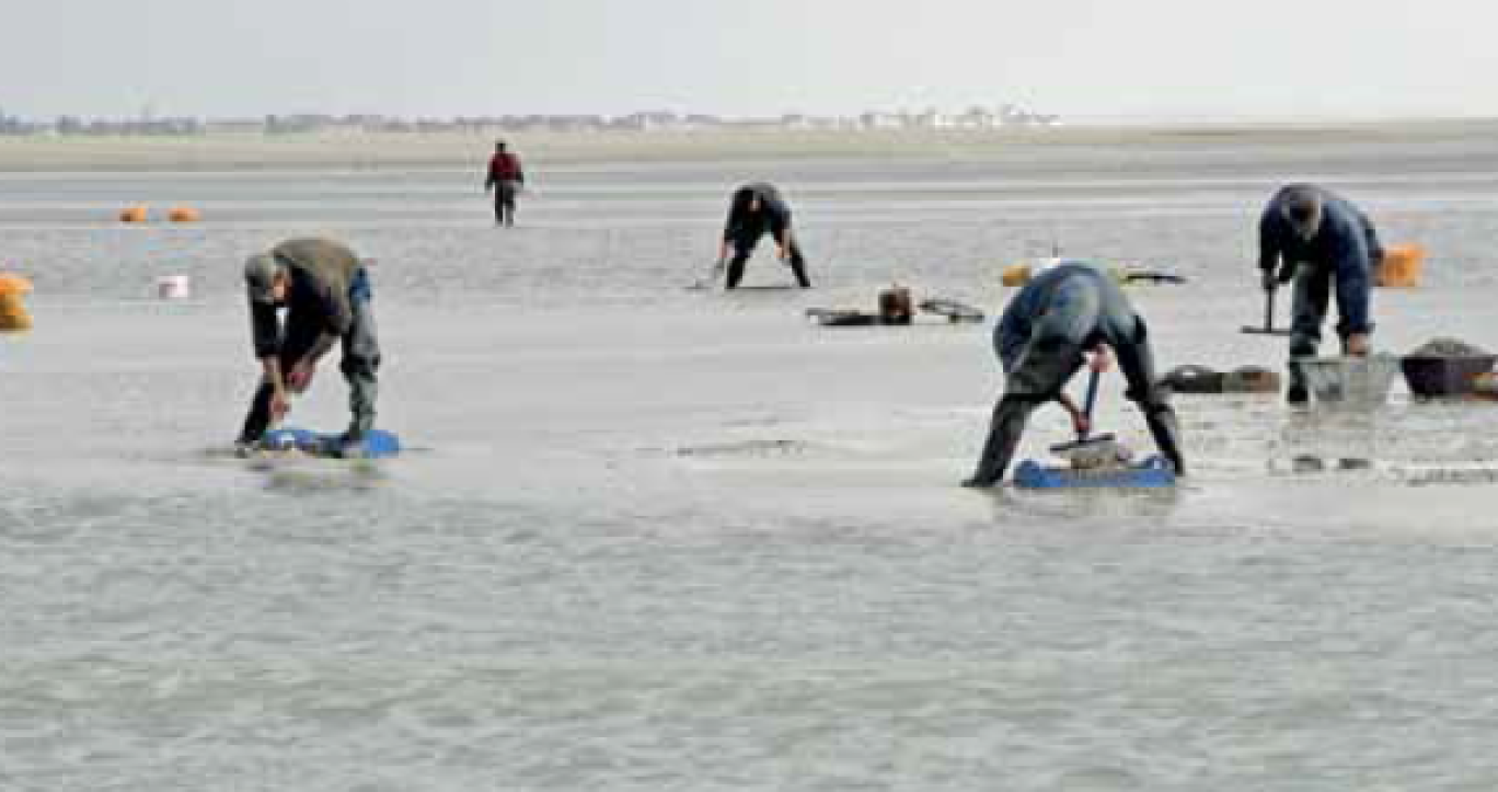 La région aide les pêcheurs