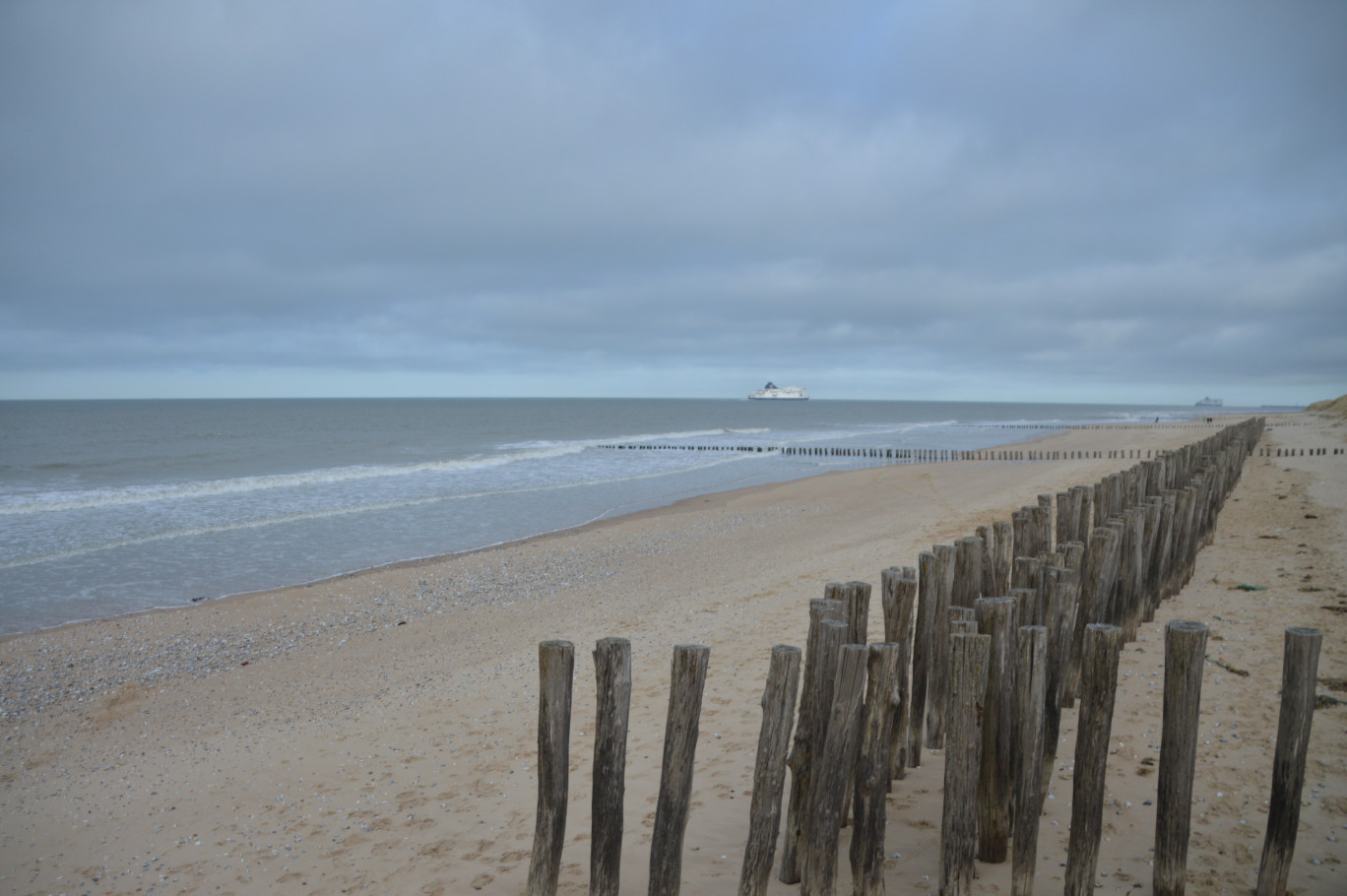 Les pieux de la plage de Sangatte seront remplacés par d'autres, en chêne.