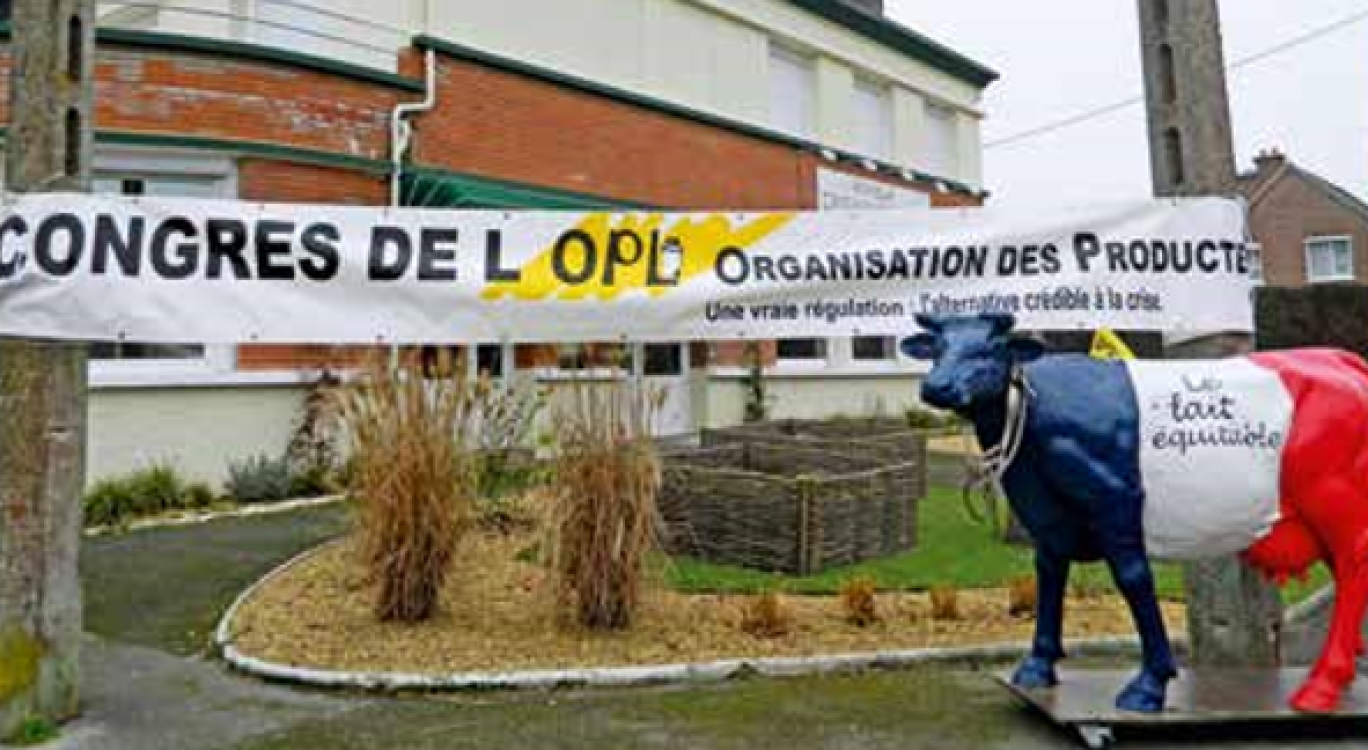 Des producteurs de lait en péril mais combatifs