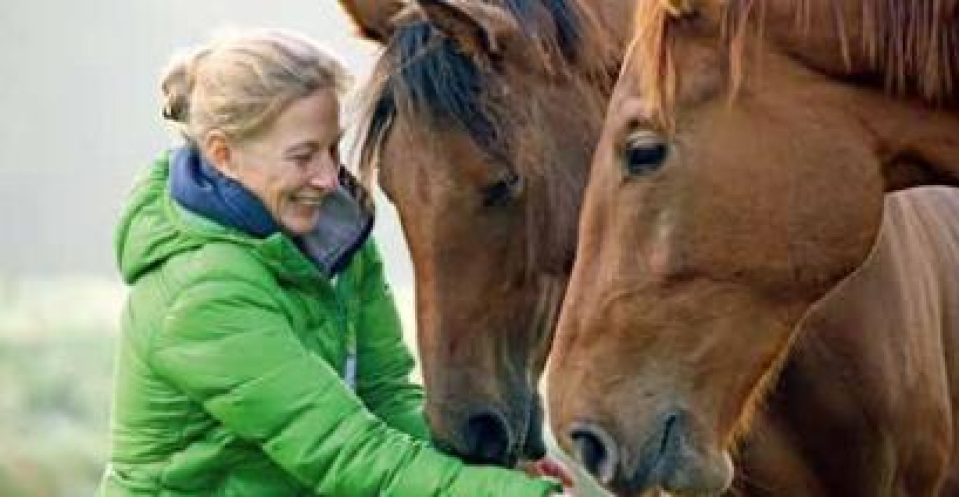 Smart Jack, l’assistant intuitif et connecté qui veille sur le cheval, a été créé par Laure Goubet