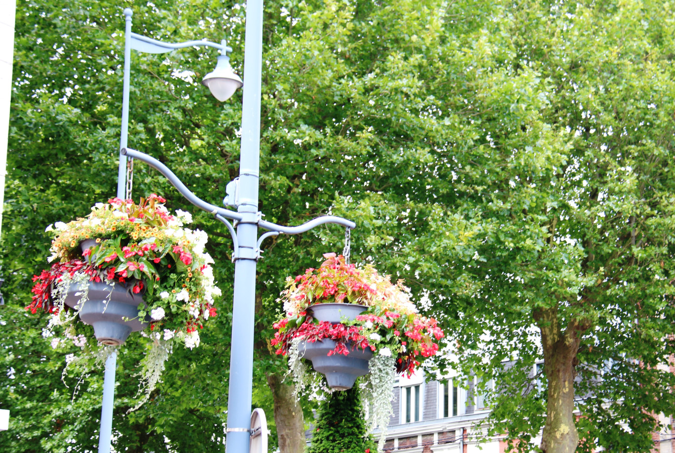 Depuis 2004, Arras bénéficie du label « ville fleurie » avec 4 fleurs attribuées par le Conseil national des villes et villages fleuris de France au Concours national des villes et villages fleuris.