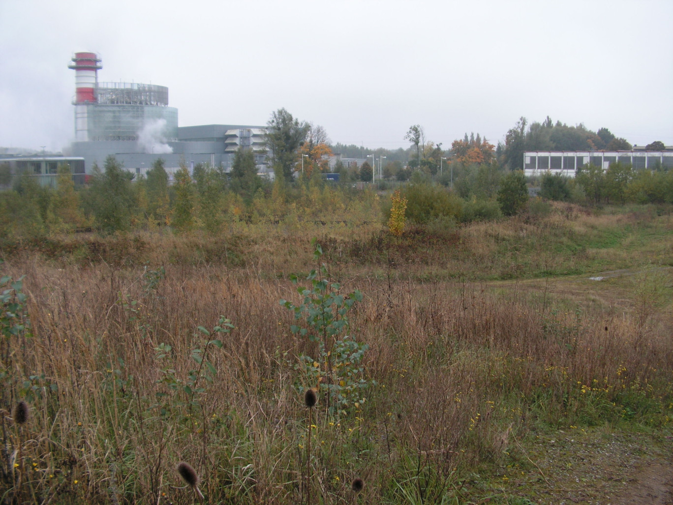 Le projet s’il se fait est prévu sur une partie d’un site qui fut auparavant une centrale thermique EDF au charbon.