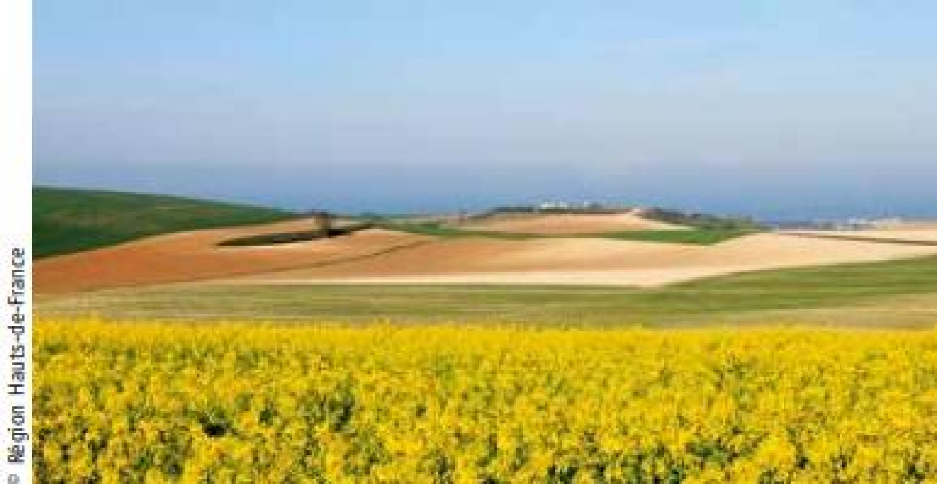 LES HAUTS-DE-FRANCE, FER DE LANCE DE LA BIOÉCONOMIE