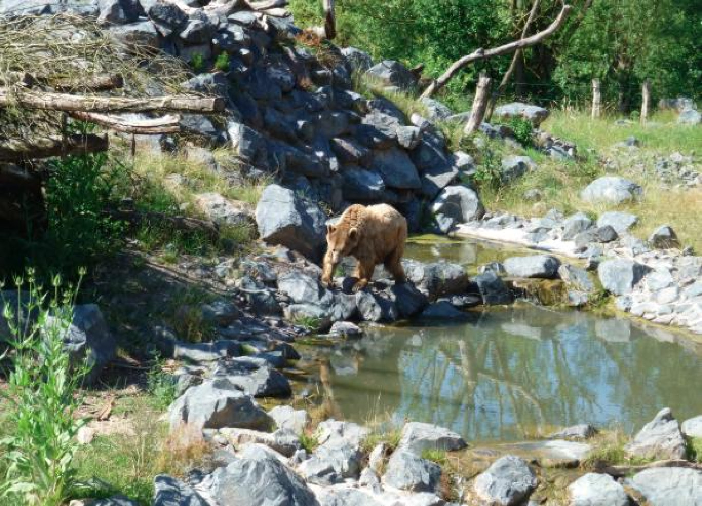 Une nouvelle zone de 8.5 hectares au parc de Sainte-Croix