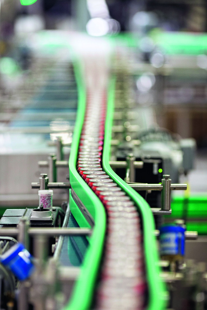 L'usine de Socx (près de Dunkerque) est le plus important site en France de l'entreprise américaine The Coca Cola Company, avec 350 personnes employées.