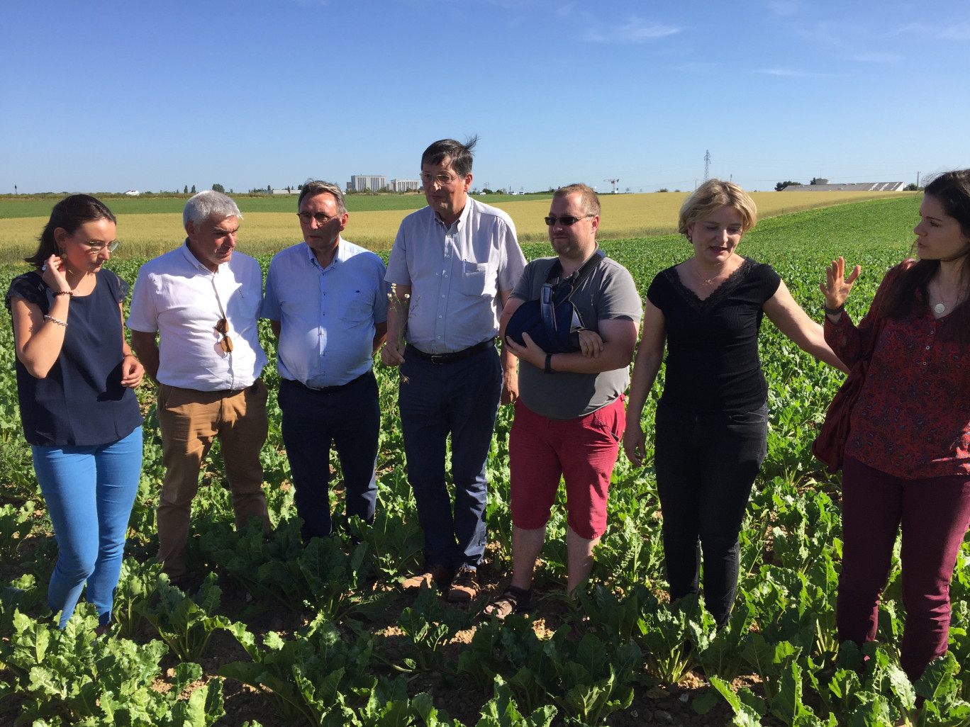 Les frères Bailleul poursuivent la route du bio