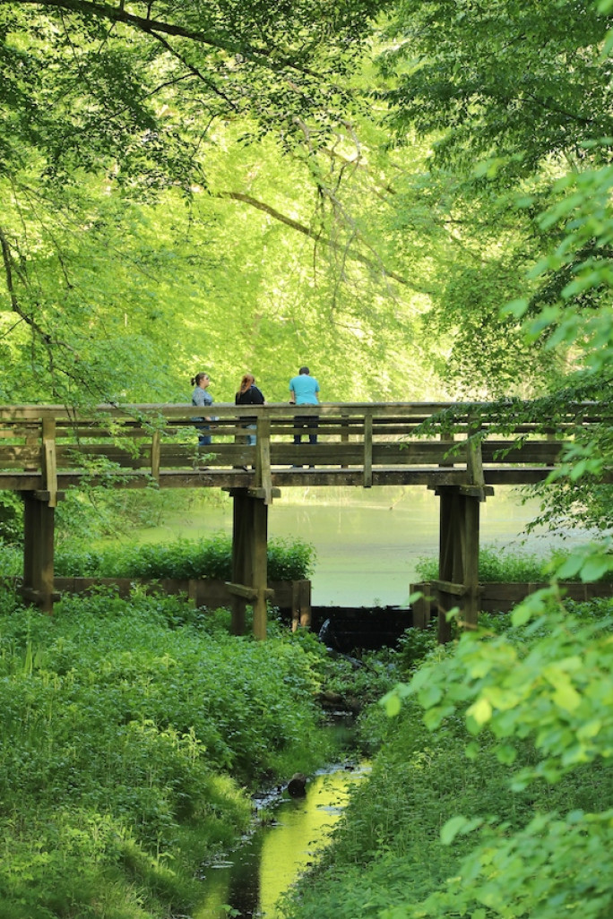 L’Espace naturel du parc départemental de l’Abbaye de Liessies.  © Philippe Houzé - Département du Nord  