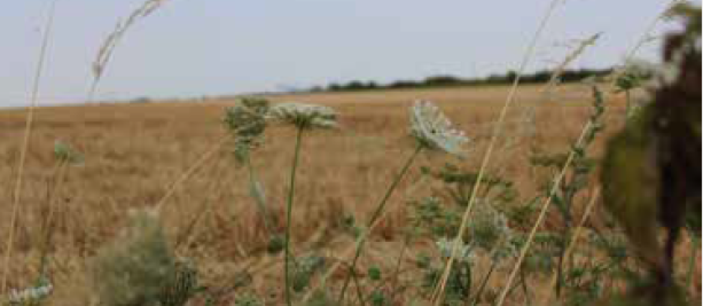 Le Beauvaisis, qui compte 337 fermes, entend avec ce projet travailler sur les productions agricoles.