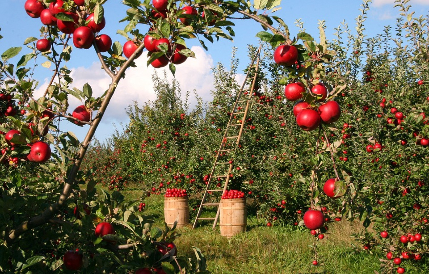 Dans la Somme, l’agriculture est un secteur d’avenir