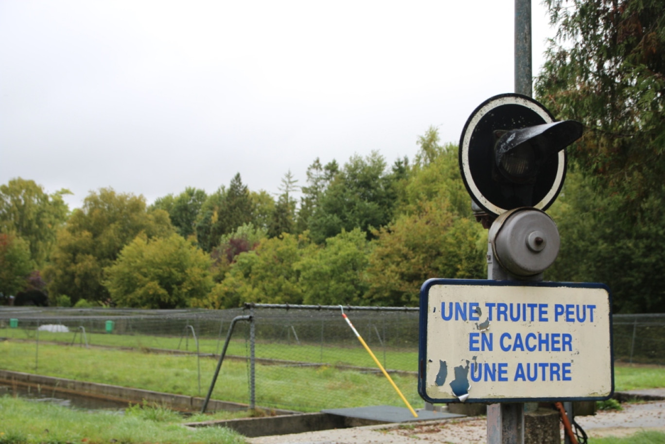 Les produits transformés à base de truite ont le vent en poupe