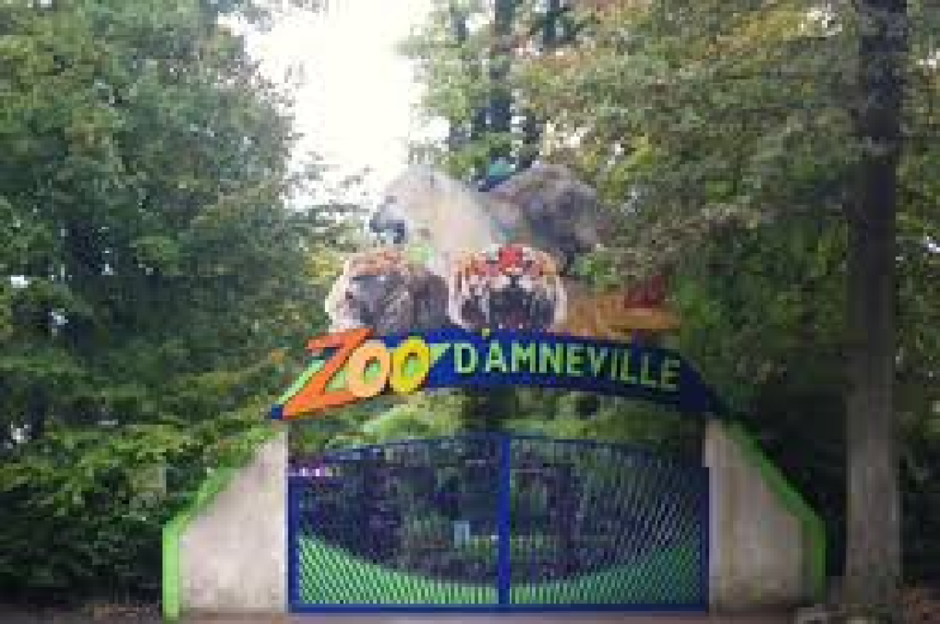 Prudentia : le gestionnaire officiel du zoo d’Amnéville