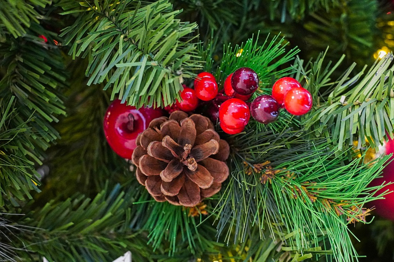 Agglomération de Beauvaisis : une collecte valorisée des sapins