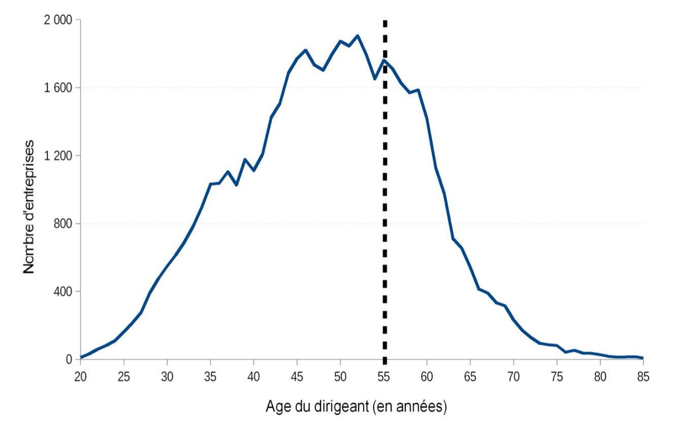 « Répartition des entreprises régionales selon l’âge du dirigeant en 2016 » crédit photo : IN-SEE