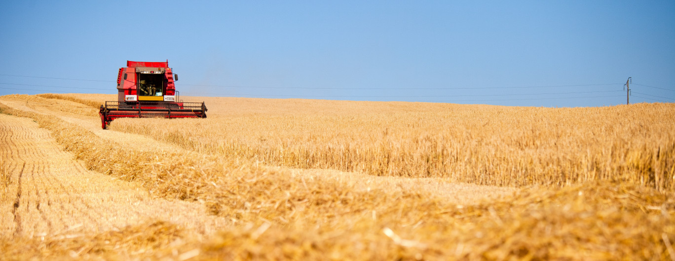 Pour Mathias Vicherat, la question de la souveraineté alimentaire est cruciale et, au niveau européen, il serait important de «reprendre en main notre domaine nourricier». © Thierry RYO