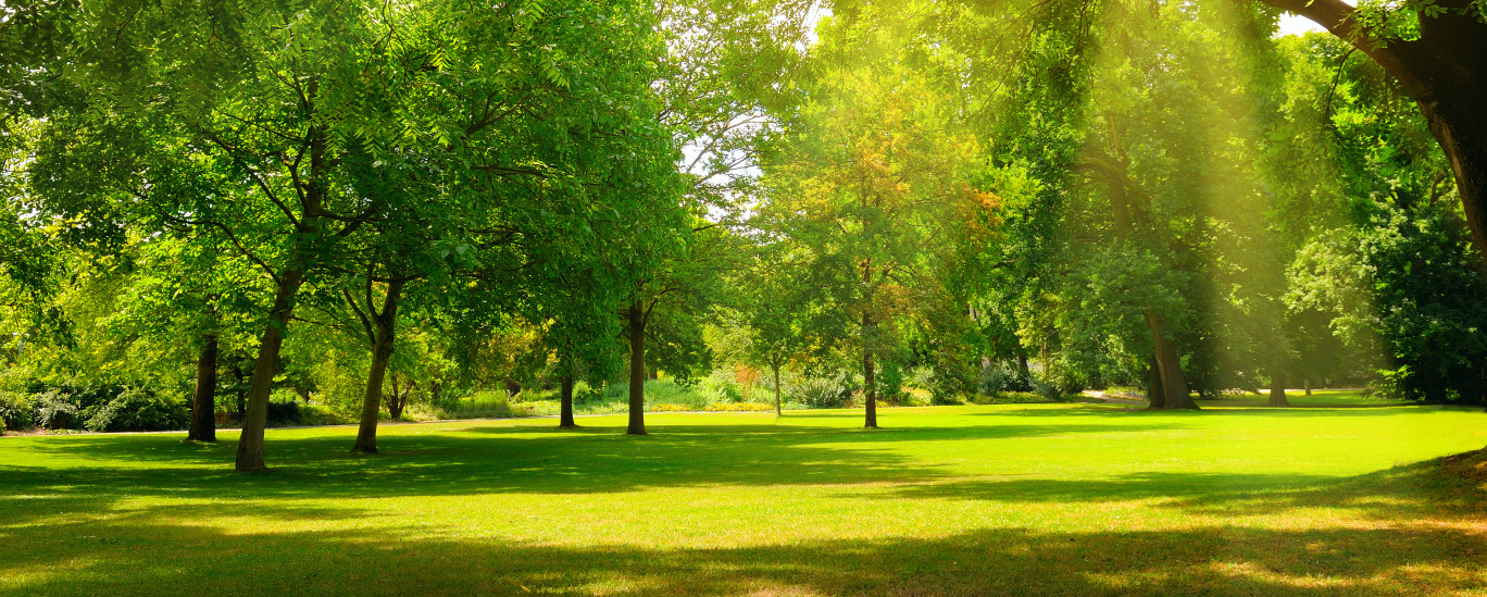 Metz : Les parcs et jardins ont rouvert leurs portes