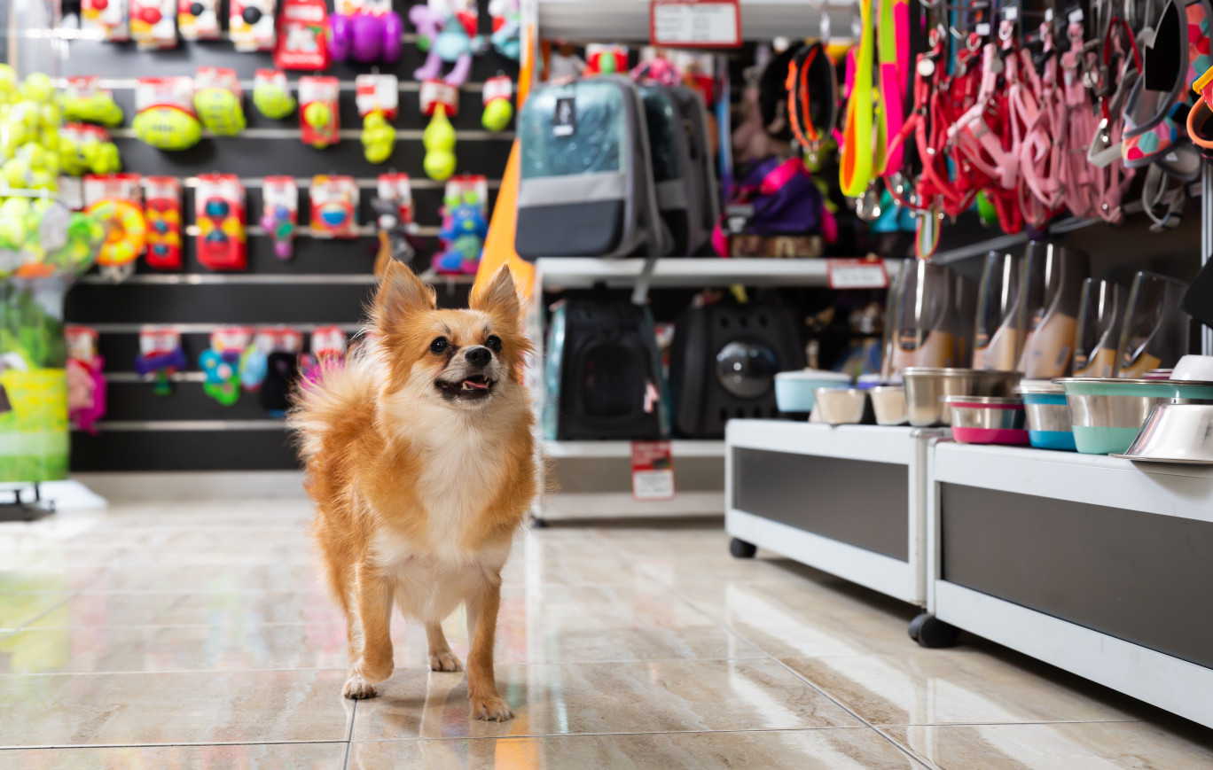 L’enseigne Maxi Zoo s’installe à Terville