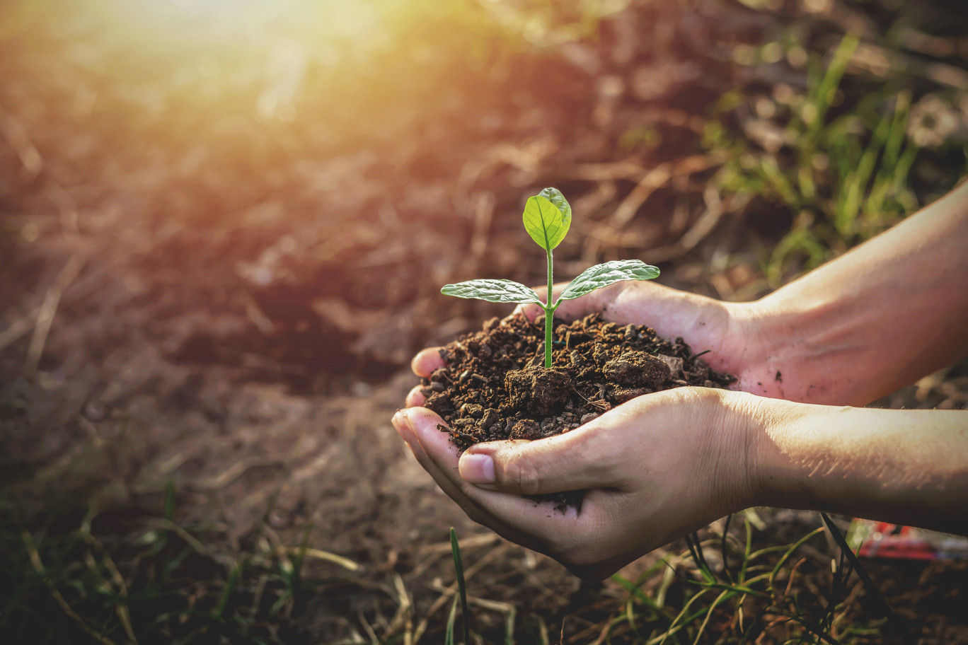 La biodiversité, enjeu capital en Grand Est