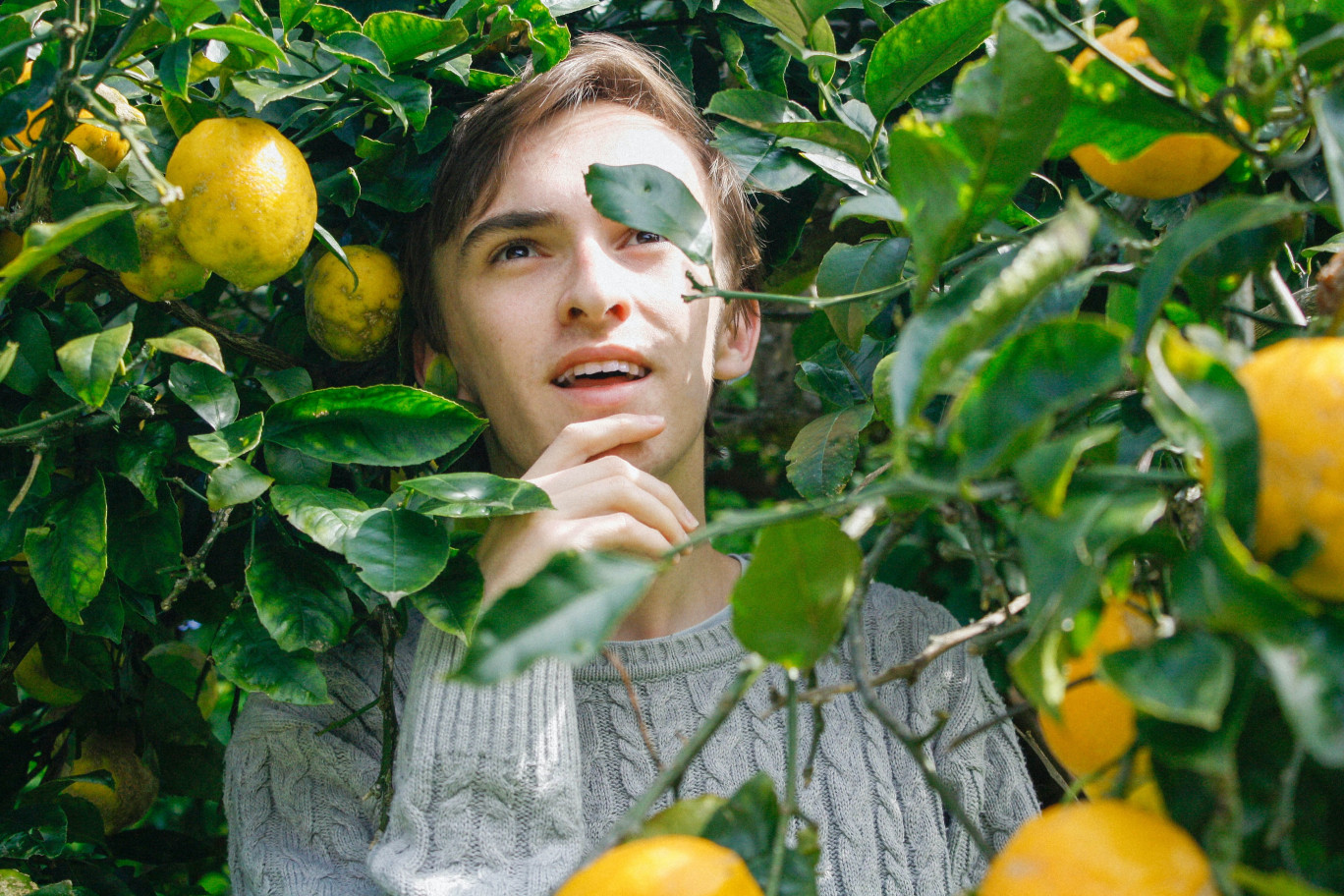 La route des fruits : Pour découvrir le patrimoine de la Seine-Maritime autrement