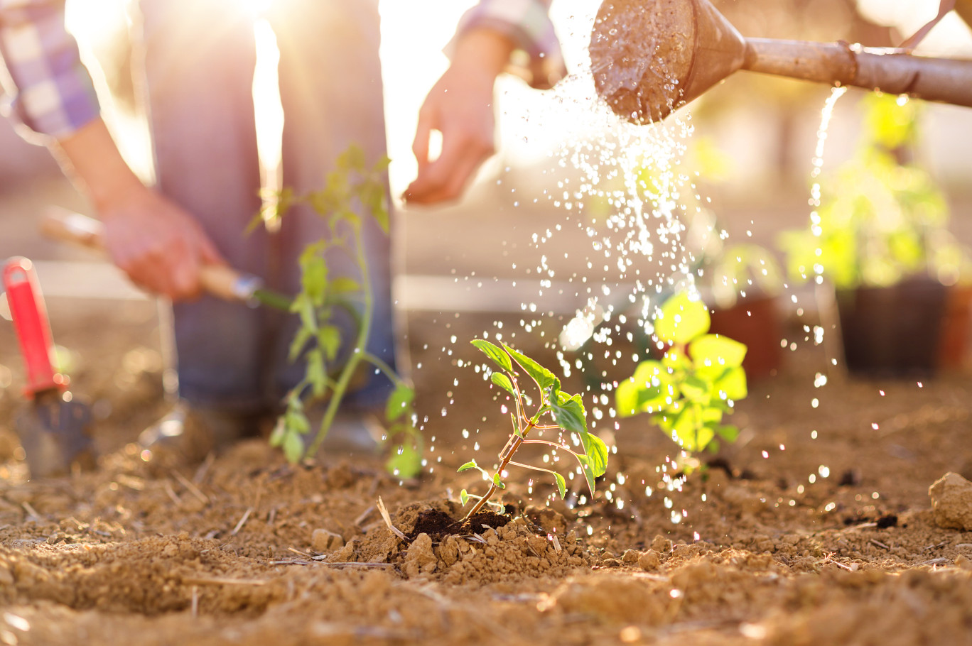 Les Jardins Fruitiers de Laquenexy en mode formation