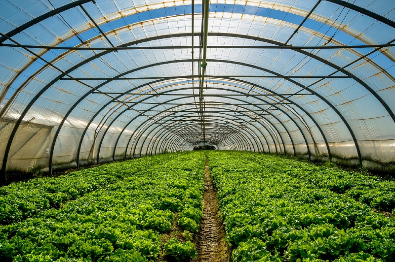 Les Jardins de la Roche de Charme inaugurent leurs serres chauffées