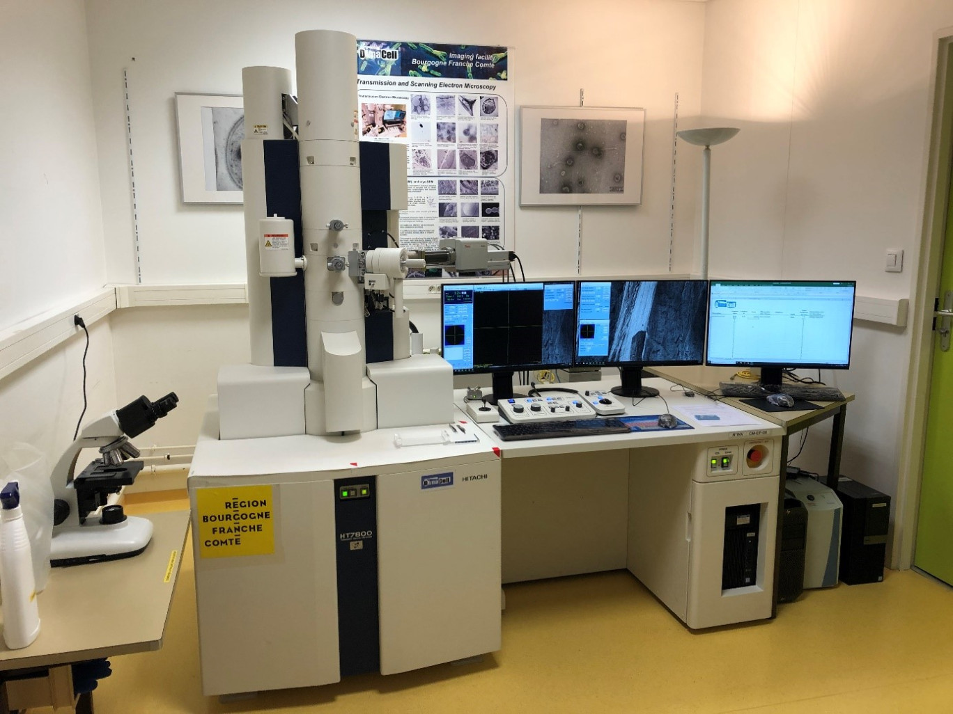 ©DImaCell Le microscope électronique à transmission vient célébrer les dix ans de DImaCell. 