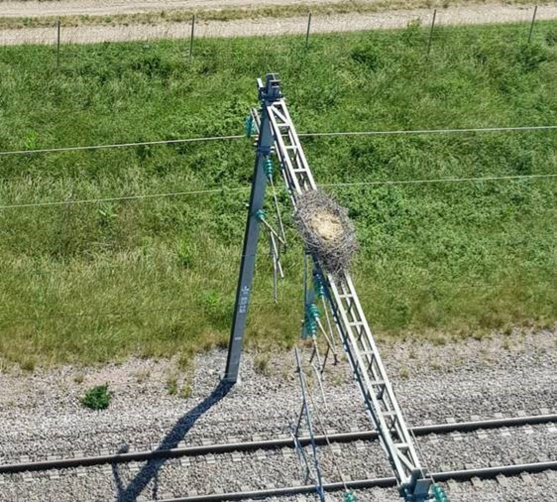 © Aletheia Press  / SNCF Réseau En mars 2020, des cigognes avaient installé leur nid sur un pylône à Toutry en Côte-d’Or.