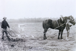 Photo d&#039;archives prises entre 1920 et 1940. © Tereos